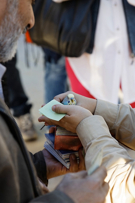 Chiraz-Mausolée du poète Hafez-052